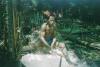 BD/209/4069 Sago-cultures