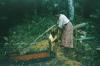 BD/209/4073 Sago-cultures
