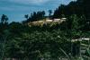 BD/209/7064 Hollandia