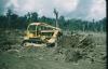 BD/209/9058 Plantage voor kweken van jonge aanplant