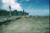 BD/209/9060 Plantage voor kweken van jonge aanplant