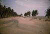 BD/209/9109 Merauke