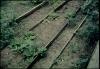 BD/144/253 Tuin met planken ter afscheiding. Dubbel: zie 549