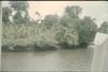 BD/144/497 Foto oever vanaf schip