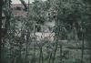 BD/144/544 Westerse woning 