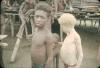 BD/144/73 Groepsfoto kinderen zwerfstam, o.m. albino-kind