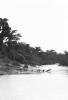 BD/133/1153 Rivier met dicht beboste oevers