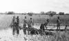 BD/133/434 Tocht Merauke-Kepi-Cookrivier vv: Prauwen tussen het riet