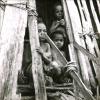 BD/329/24 Drie Papoea- kinderen in de deuropening van een hut