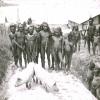 BD/329/34 Papoea-mannen, drijfstokken in de hand, poseren met twee (tamme) varkens