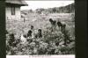 BD/186/28 Tuinarbeid op school. 