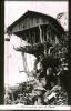 BD/186/89 Boomwoning aan de Digoel