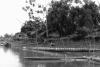 BD/216/197 Dorp met prauwen aan de rivier