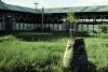 BD/216/409 Rooms Katholieke kerk in de Asmat
