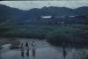 BD/248/109 Wadend door het water