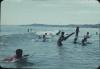 BD/248/202 Kinderen spelen in  het waterbij Sorong 
