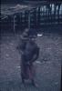 BD/248/207 Twee kinderen aan de kust van noord Nieuw Guinea