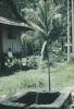 BD/248/208 Dorps fontein