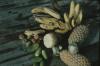 BD/248/89 Groente en fruit