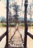 BD/269/158 Broeder Henk Blom o.f.m. op een hangbrug over de rivier