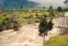 BD/269/229 Woeste rivier met hangbrug