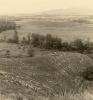 BD/269/24 Landschap in de Baliem-vallei