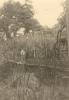 BD/269/39 Franciskaner broeder Henk Blom steekt via loopbrug rivier over in de Baliem