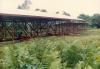 BD/269/69 Bouw van de nieuwe school in Timika