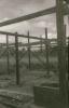 BD/309/289 Houten constructie van een gebouw in aanbouw