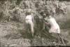 BD/309/298 Het uithakken van een boomstronk ten behoeve van akkerbouw 