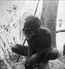 BD/66/257 Oude man uit de Baliemvallei