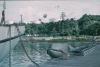 BD/171/1231 Aanlegsteiger met schip