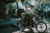 BD/171/1239 Lerares op fiets