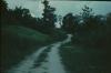 BD/171/1249 Weg door landschap
