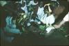 BD/171/1259 Lachende vrouwen