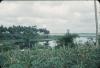 BD/171/1663 Natuur