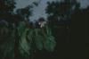 BD/171/1743 Plant