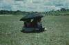 BD/171/1754 Vrouwen onder parasol
