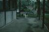 BD/171/1756 Hond op veranda
