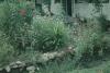 BD/171/1782 Huis met tuin